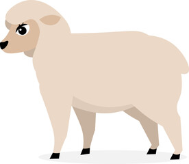 Farm Animals. Cute farm. Gray sheep on a white background. Collection of farm animals. Baby flat vector illustration.