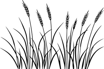 Wild Grasses line art white background