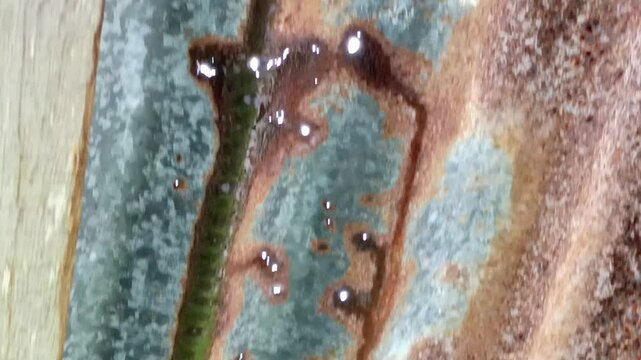 rusty tin roof