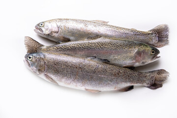 Rainbow trout on a white background. Fresh rainbow trout.