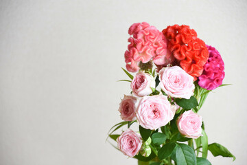 薔薇とケイトウ