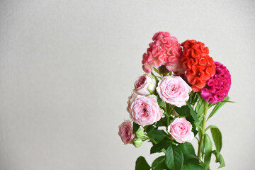 薔薇とケイトウ