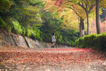 秋の公園の赤色の紅葉の落ち葉と散歩する女子高校生の姿