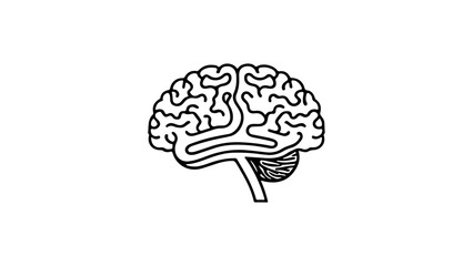 brain outline vector simple silhouette illustration