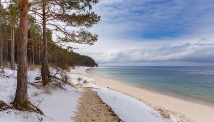 beach and palm trees