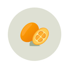 Kumquat fruit vector illustration
