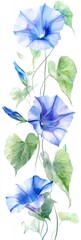 Fototapeta premium Watercolor Morning Glories on White Background Minimalist Floral Art