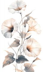 Watercolor Morning Glories on White Background Minimalist Floral Art