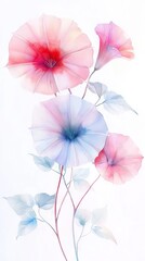 Watercolor Morning Glories on White Background Minimalist Floral Art