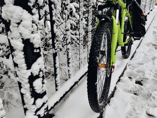 bicycle wheels in the snow