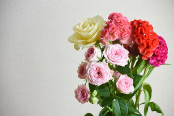 薔薇とケイトウ