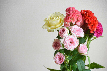 薔薇とケイトウ