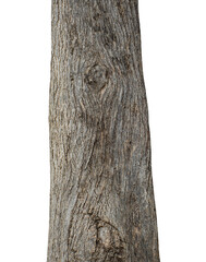 Tree trunk isolated on transparent background.