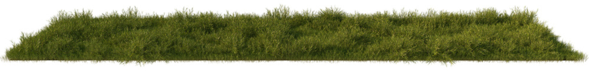 grass line field wild and fresh