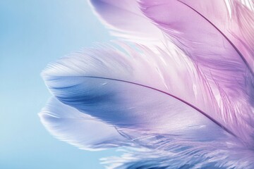 Naklejka premium Delicate Feathers in Soft Pastel Hues