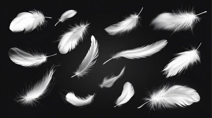 Obraz premium White Feathers Scattered on Black Background, Varied Sizes and Textures Create Serene Composition with Central Focus.