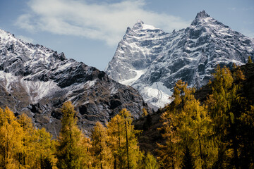 Fototapeta premium Four Girls Mountain in Aba prefecture Chengdu city Sichuan province, China.Siguniang mountain or Four sister mountain with snow cap on top and colourful autumn in Sichuan, China 