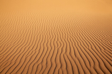 Sand dune with ripples, background image
