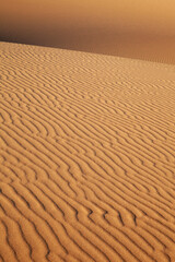 Sand dune with ripples, vertical perspective, background
