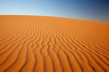 Ripples in a sand dune in Namibia