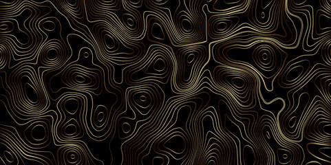 Luxury golden gradient color topography wave lines isolated on black background, Geography scheme vector, Contour topographic map background vector illustration.
