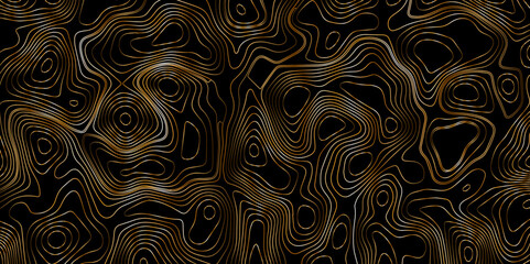 Luxury golden gradient color topography wave lines isolated on black background, Geography scheme vector, Contour topographic map background vector illustration.