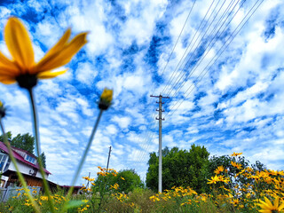 Old pole with wires against the sky. Electric transmission line. Eco-friendly energy