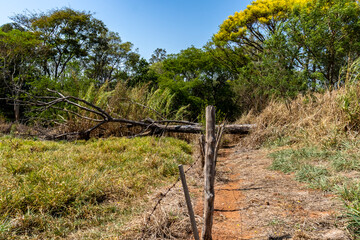 Fototapeta premium Rural landscape with a dirt path surrounded by vegetation and dry grass with a fallen tree trunk, rustic fence made of barbed wire and wood.