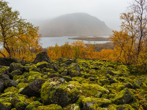 A typical autumn foggy landscape in the Khibiny Mountains in early autumn on the Kola Peninsula in the Arctic Circle