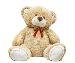 Adorable Plush Bear on white background