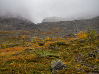 A typical autumn foggy landscape in the Khibiny Mountains in early autumn on the Kola Peninsula in...