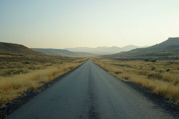 Fototapeta premium Endless Road Stretching Through a Serene Landscape