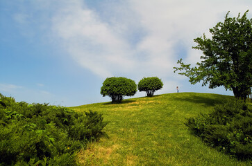 Fototapeta premium Beautiful hill with bushes and a boy with butterflies