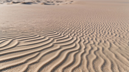 Obraz premium Rippled sand dunes create mesmerizing patterns under golden light