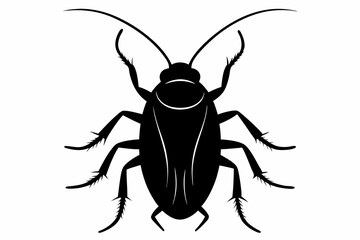 Cockroach silhouette, cockroach icon vector on white background