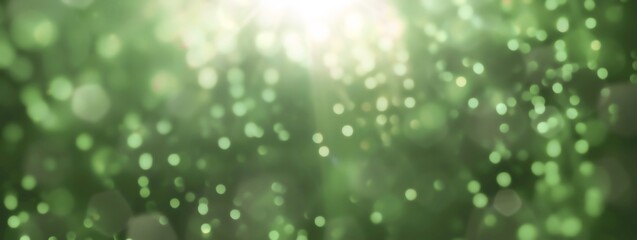 Christmas background - abstract banner - green blurred bokeh lights - festive header with beautiful rays	
