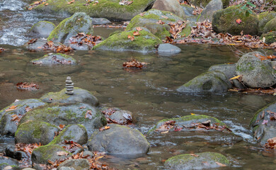Cairn in stream