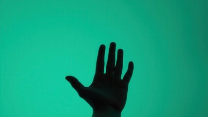 A soothing green background with a subtle shh gesture, perfect for conveying a sense of peace and tranquility, peaceful, mystery, calming