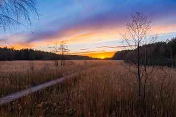 Zach&oacute;d słońca nad morzem traw
