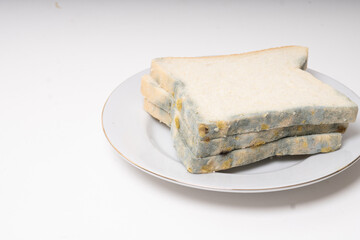 moldy or rotten bread on plate, expired bread or contaminated food