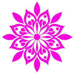 pink lotus flower