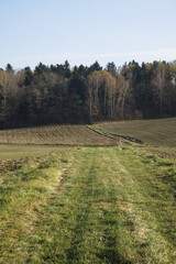 Autumn in farm fields in hilly terrain