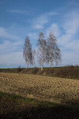 Autumn in farm fields in hilly terrain