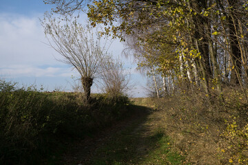 Autumn in farm fields in hilly terrain