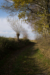 Autumn in farm fields in hilly terrain