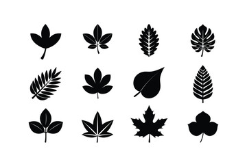 Seasonal Silhouette Leaves Elements Set