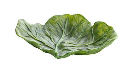 Obraz premium Green leaf transparent background