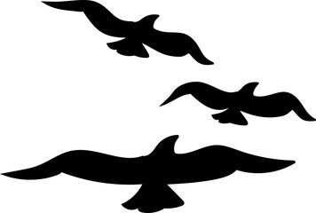 silhouette of a bird