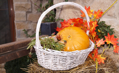 Beautiful pumpkin composition,autumn mood