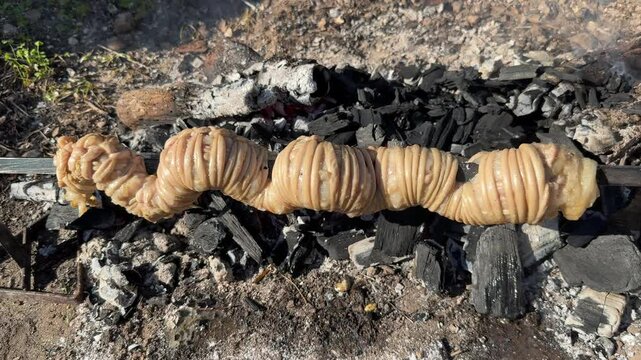 Sa Cordula or sa corda or braided lamb innards cooked on the grill, a typical Sardinian dish
